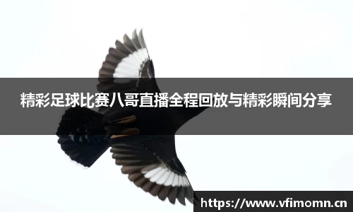 精彩足球比赛八哥直播全程回放与精彩瞬间分享